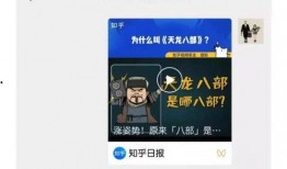 网友爆料蓝莓视频下载,网友爆料新功能引热议