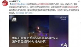 老外爆料病毒视频播放,老外爆料背后的真相与争议
